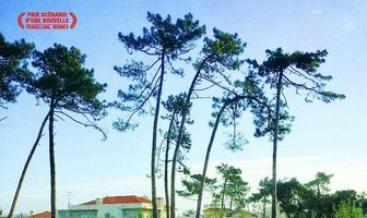Circo do Amor