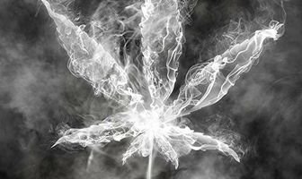 Готовим под кайфом