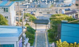 Когда цветёт камелия