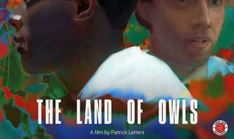The Land of Owls