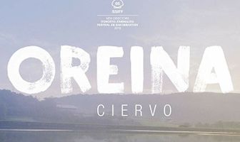 Oreina