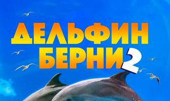 Дельфин Берни 2
