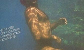 Он, дельфин