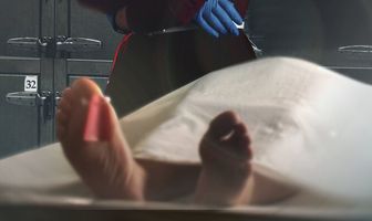 Анатомия убийства