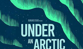 Under an Arctic Sky