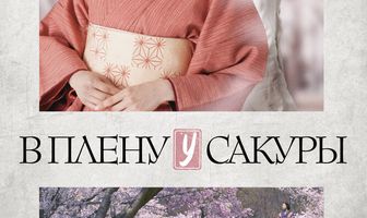 В плену у сакуры