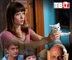 Котов обижать не рекомендуется