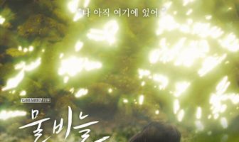 Водяные весы