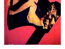 Реинкарнация секса