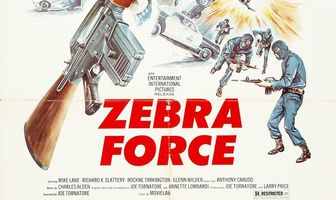 Отряд «Зебра»