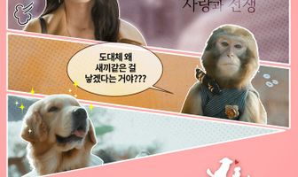 Роман как у кошки с собакой
