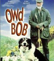 Старина Боб