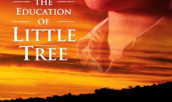 Приключения маленького индейца