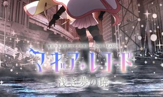 Записи о магии. Девочка-волшебница Мадока: Волшебство Гайдэн