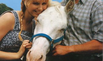 Никто не поцеловал лошадь