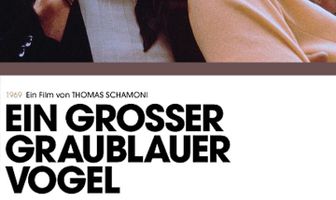 Большая серо-голубая птица