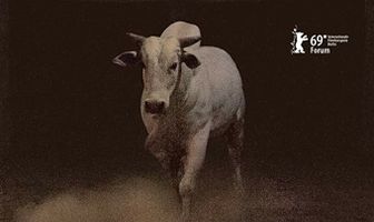 Возвращение домой