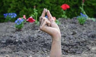 Корень совершенства