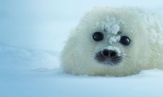 Наша планета