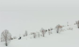 Млечная дорога