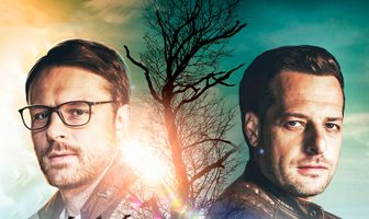 След лисицы на камнях