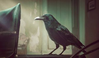 Родовое проклятие