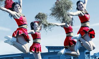 Чирлидер под прикрытием