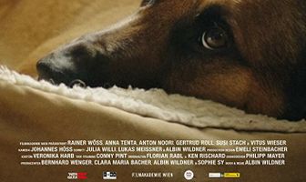 Dogwatch