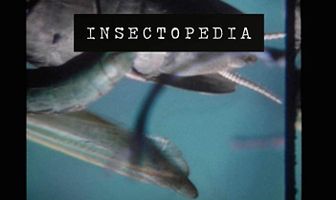 Insectopedia