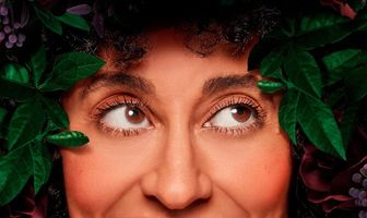 Разноцветная комедия