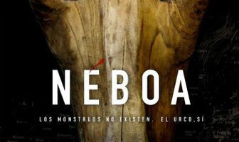 Небоа
