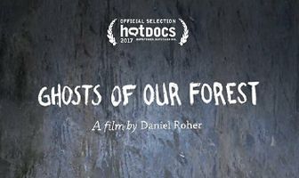 Ghosts of our Forest