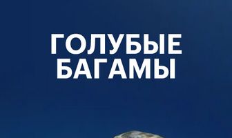 Голубые Багамы