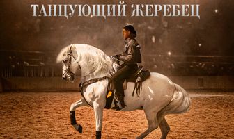 Центурион: Танцующий жеребец