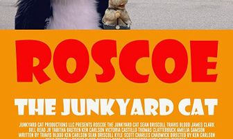 Roscoe the Junkyard Cat