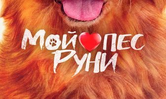 Мой пёс Руни