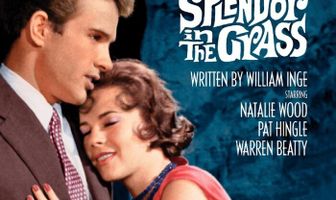 Великолепие в траве