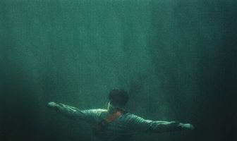 The Diver