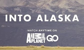 Заповедная Аляска