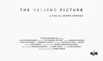 The Missing Picture