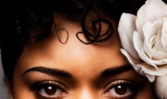 Соединённые Штаты против Билли Холидей