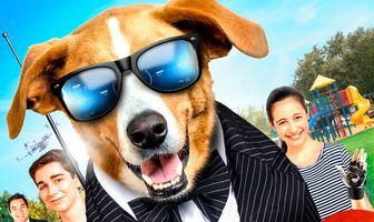 Пес под прикрытием