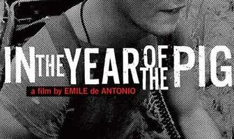 В год свиньи