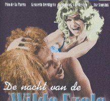 De nacht van de wilde ezels