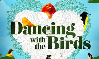 Танцы с птицами