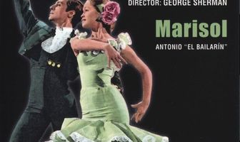 Новая Золушка