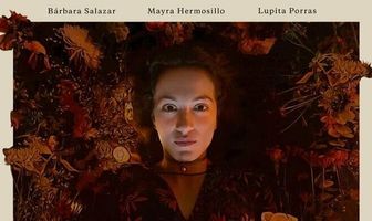 Noche Sin Luciérnagas