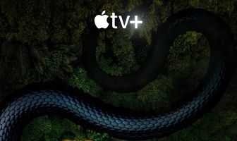 Берег москитов