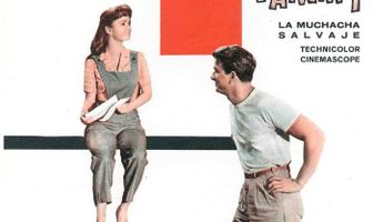 Тэмми и холостяк