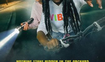 Hidden Orchard Mysteries: The Case of the Air B and B Robbery
